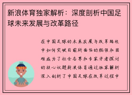 新浪体育独家解析：深度剖析中国足球未来发展与改革路径